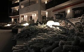 Hotel Larch